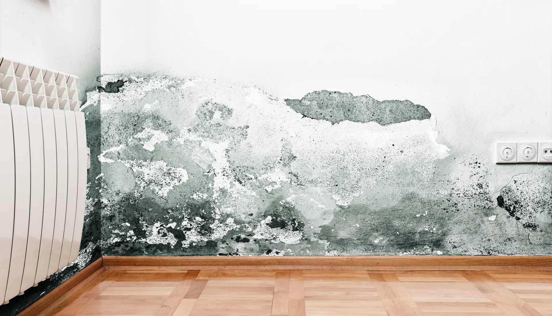 Damp and peeling paint along the bottom of a room’s walls